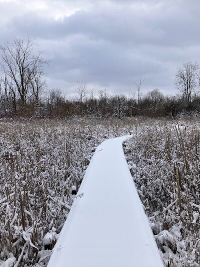 Koogler Wetland Prairie Reserve - Dayton, OH