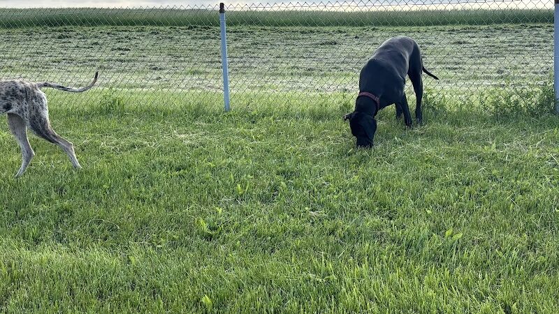 Montgomery County Bark Park Dayton - Dayton, OH