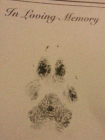 Moon Dogs Express Pet Care (Private Dog Park) - Dayton, OH