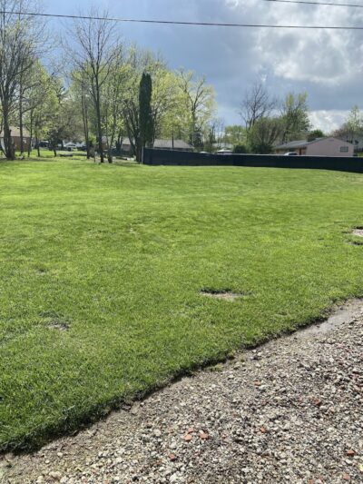 Moon Dogs Express Pet Care (Private Dog Park) - Dayton, OH