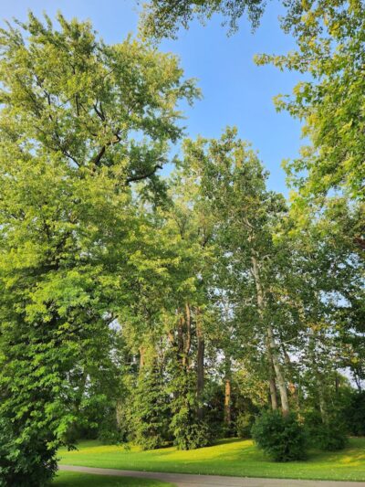 Triangle Park - Dayton, OH