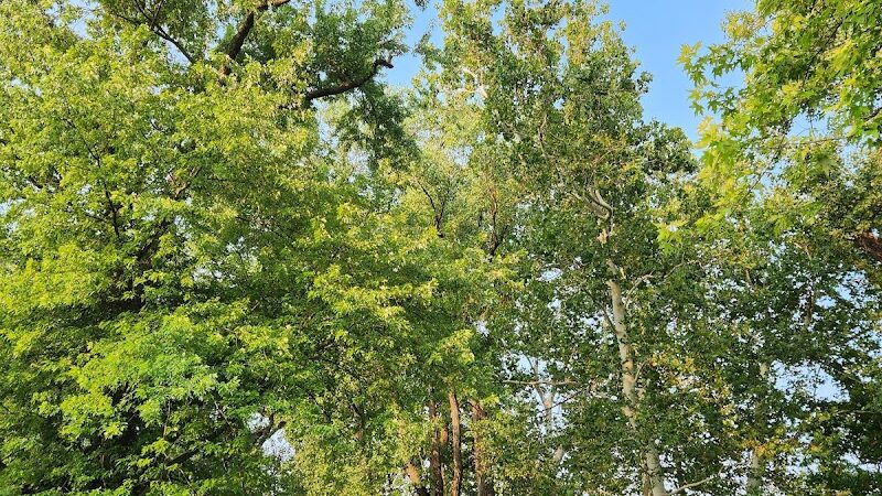 Triangle Park - Dayton, OH