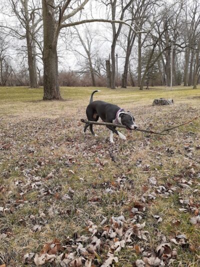 Triangle Park - Dayton, OH