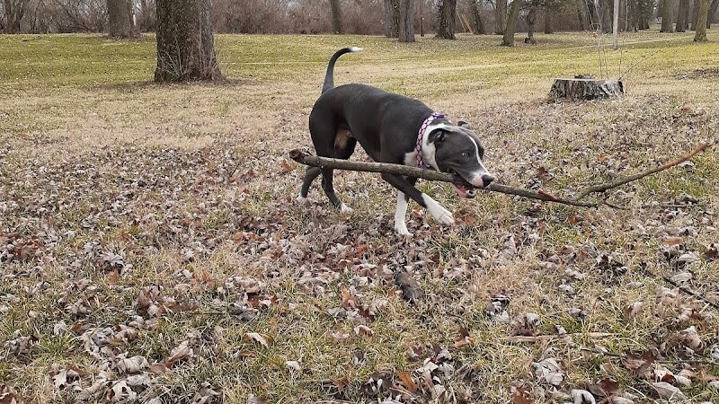 Triangle Park - Dayton, OH