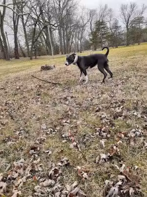 Triangle Park - Dayton, OH