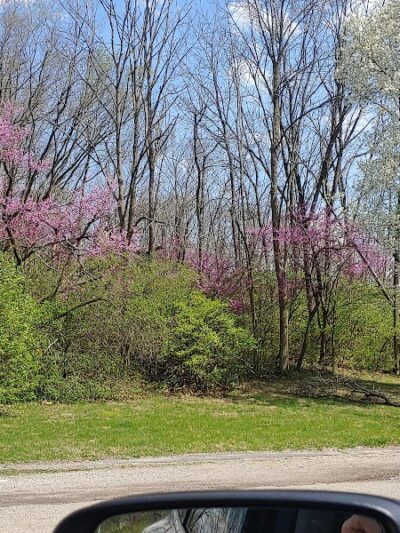Triangle Park - Dayton, OH