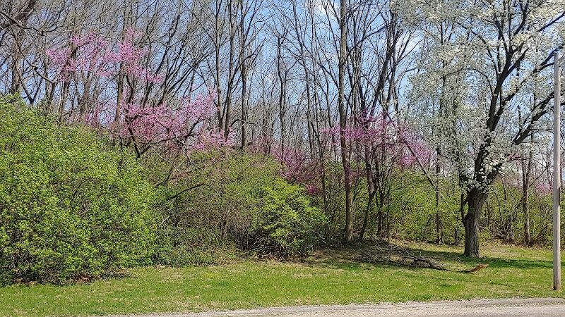 Triangle Park - Dayton, OH