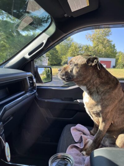 Virgallito Park - Dayton, OH