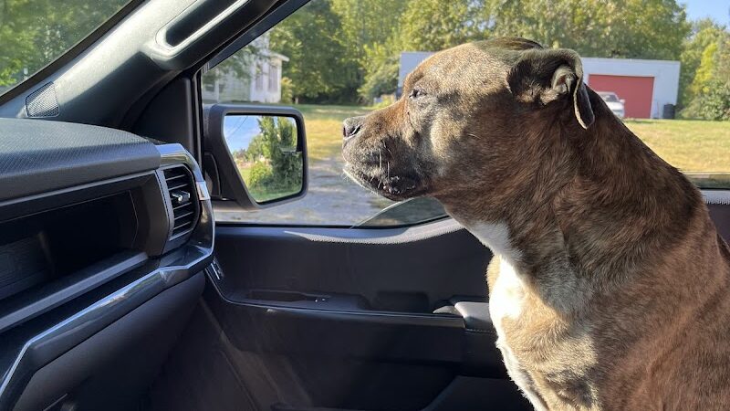 Virgallito Park - Dayton, OH