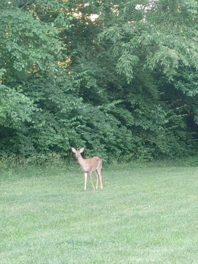 Virgallito Park - Dayton, OH