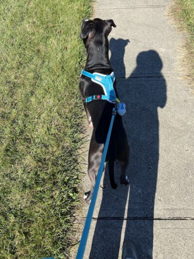 Walnut Grove Park - Dayton, OH