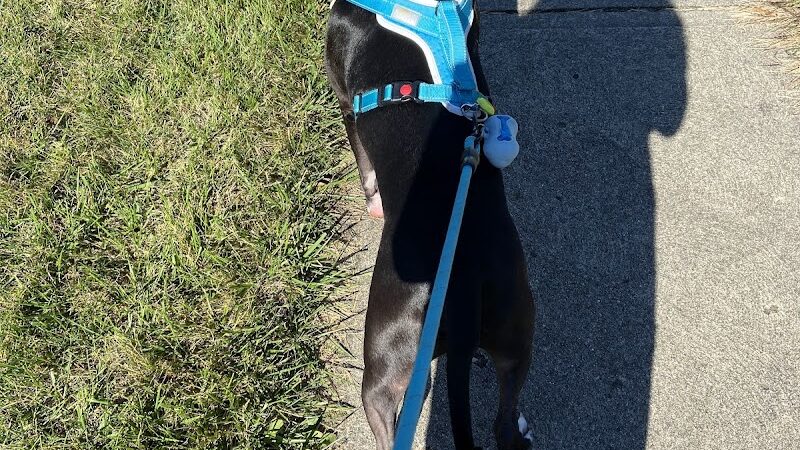 Walnut Grove Park - Dayton, OH