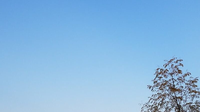 Yankee Park - Dayton, OH