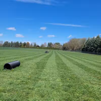 Devine Dog Park - Deerfield, WI