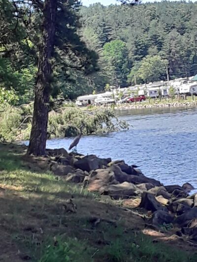 Tappan Park Amphitheater - Deersville, OH