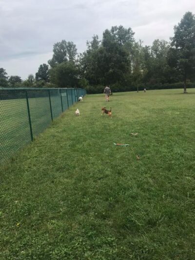 Defiance Bark And Run (Membership Required) - Defiance, OH