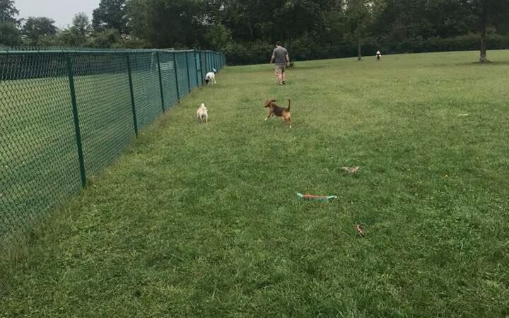 Defiance Bark And Run (Membership Required) - Defiance, OH