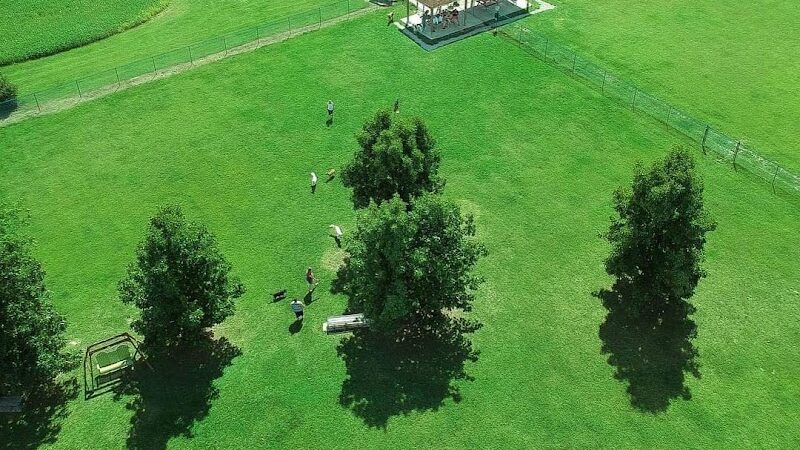 Defiance Bark And Run (Membership Required) - Defiance, OH