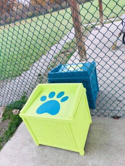 Defiance Bark And Run (Membership Required) - Defiance, OH