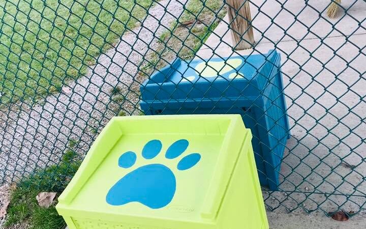 Defiance Bark And Run (Membership Required) - Defiance, OH