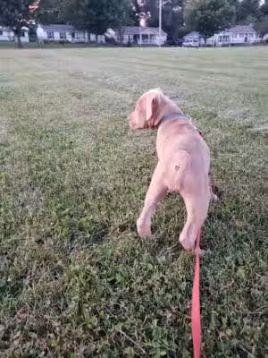 Bennett Park - Delaware, OH