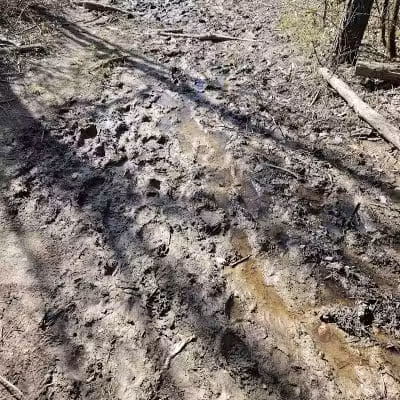 Alum Creek State Park Office - Delaware, OH