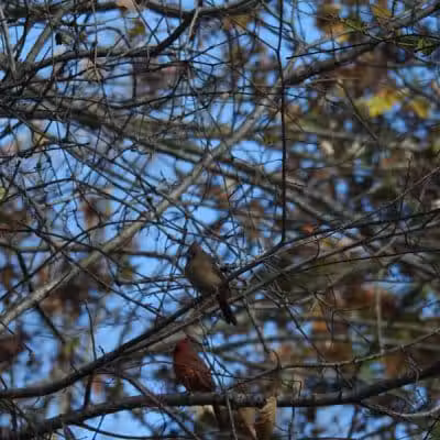 Alum Creek State Park Office - Delaware, OH