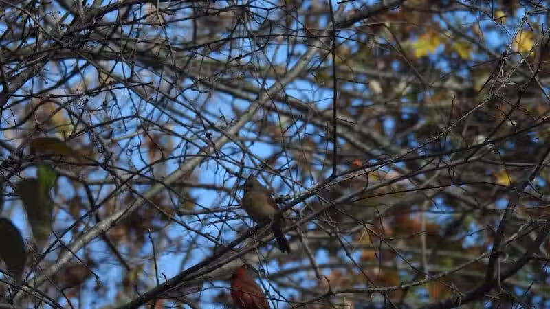 Alum Creek State Park Office - Delaware, OH