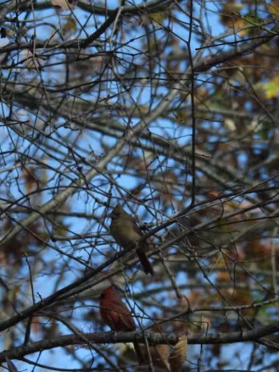 Alum Creek State Park Office - Delaware, OH
