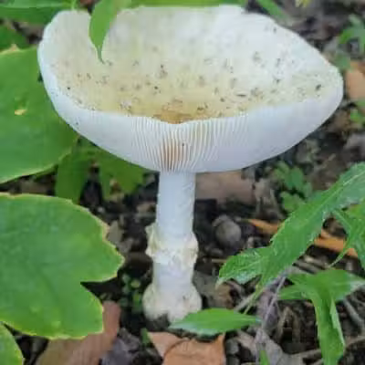 Alum Creek State Park Office - Delaware, OH