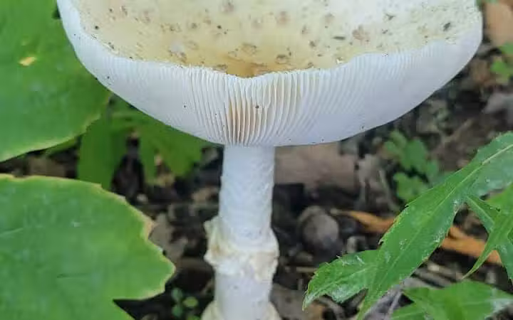 Alum Creek State Park Office - Delaware, OH