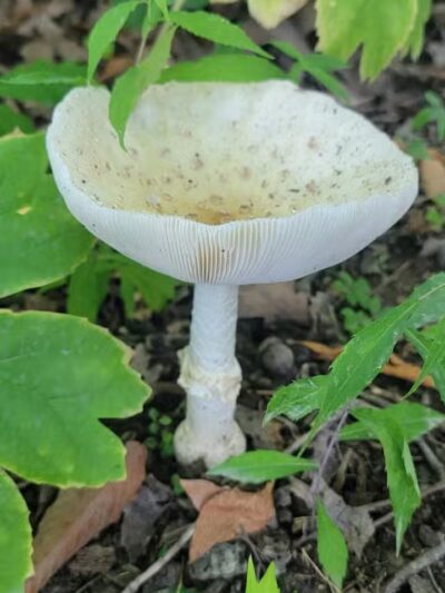 Alum Creek State Park Office - Delaware, OH