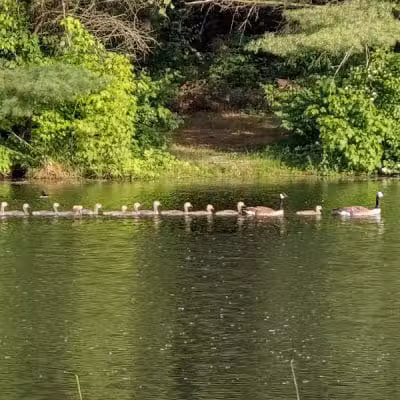 Alum Creek State Park Office - Delaware, OH