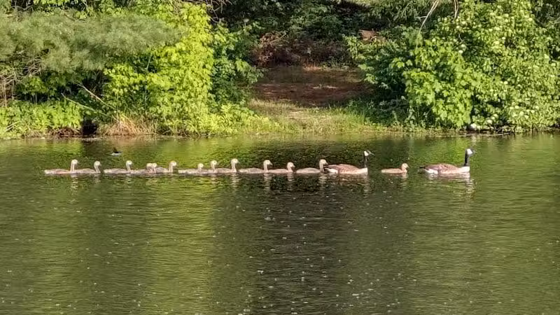 Alum Creek State Park Office - Delaware, OH