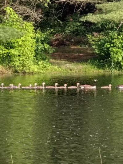 Alum Creek State Park Office - Delaware, OH