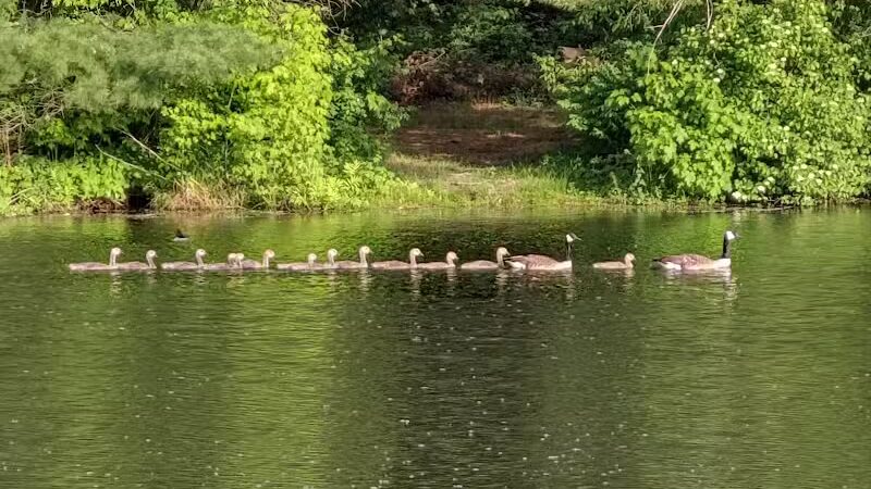 Alum Creek State Park Office - Delaware, OH