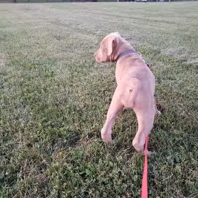 Bennett Park - Delaware, OH