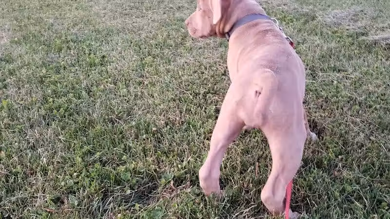 Bennett Park - Delaware, OH