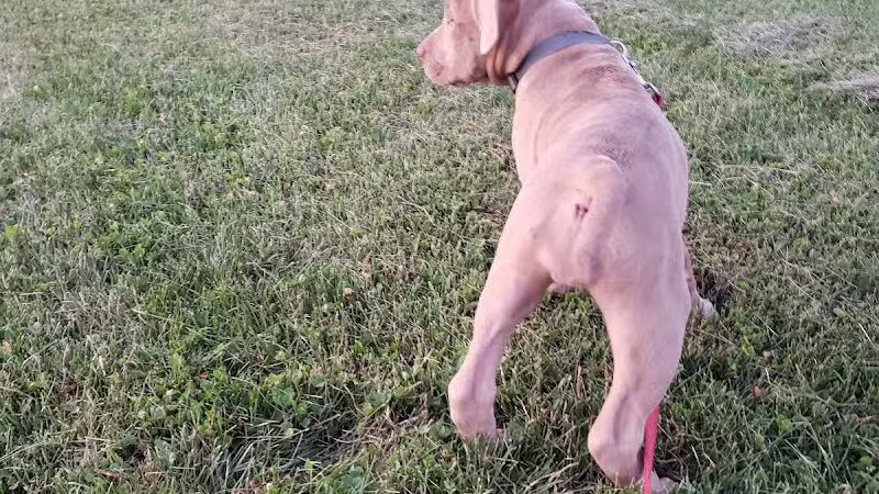 Bennett Park - Delaware, OH