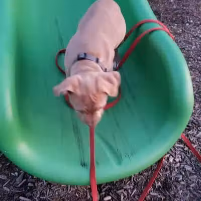 Bennett Park - Delaware, OH