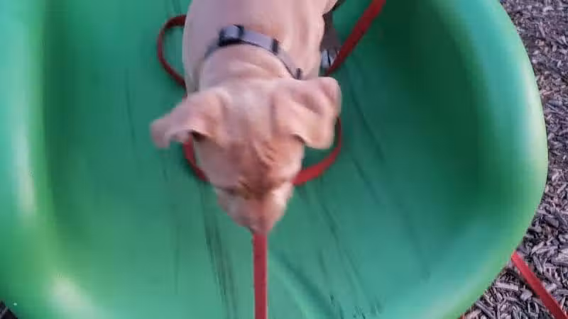 Bennett Park - Delaware, OH