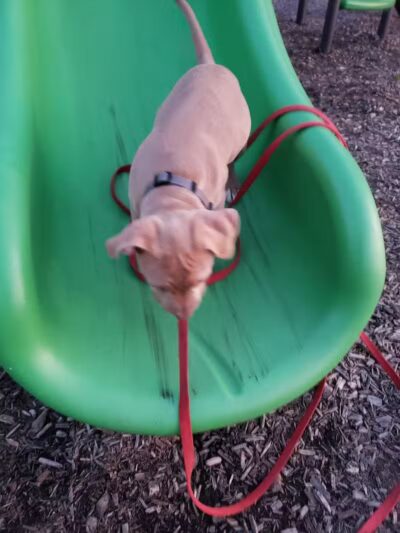 Bennett Park - Delaware, OH