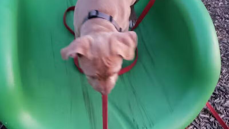 Bennett Park - Delaware, OH