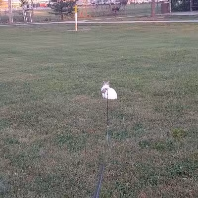 Bennett Park - Delaware, OH