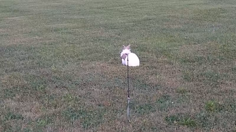 Bennett Park - Delaware, OH