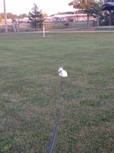 Bennett Park - Delaware, OH