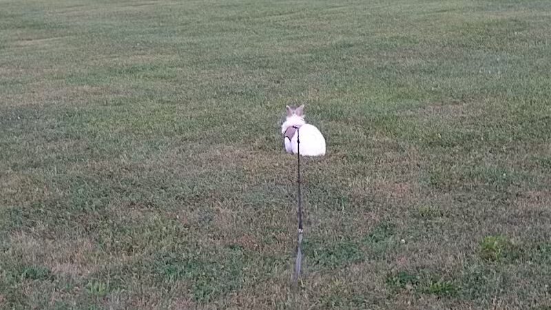 Bennett Park - Delaware, OH