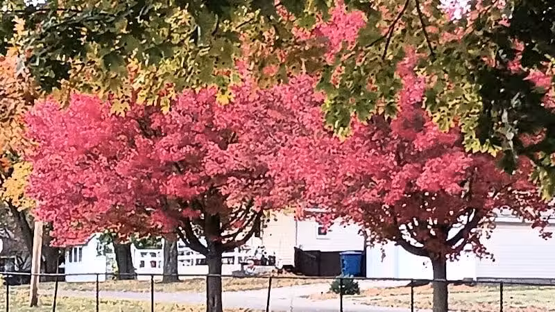 Bennett Park - Delaware, OH