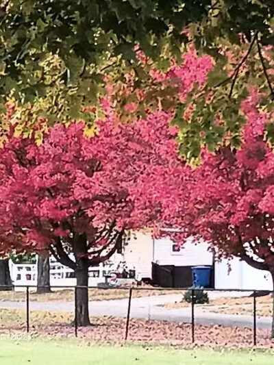 Bennett Park - Delaware, OH