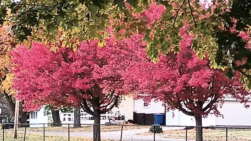 Bennett Park - Delaware, OH